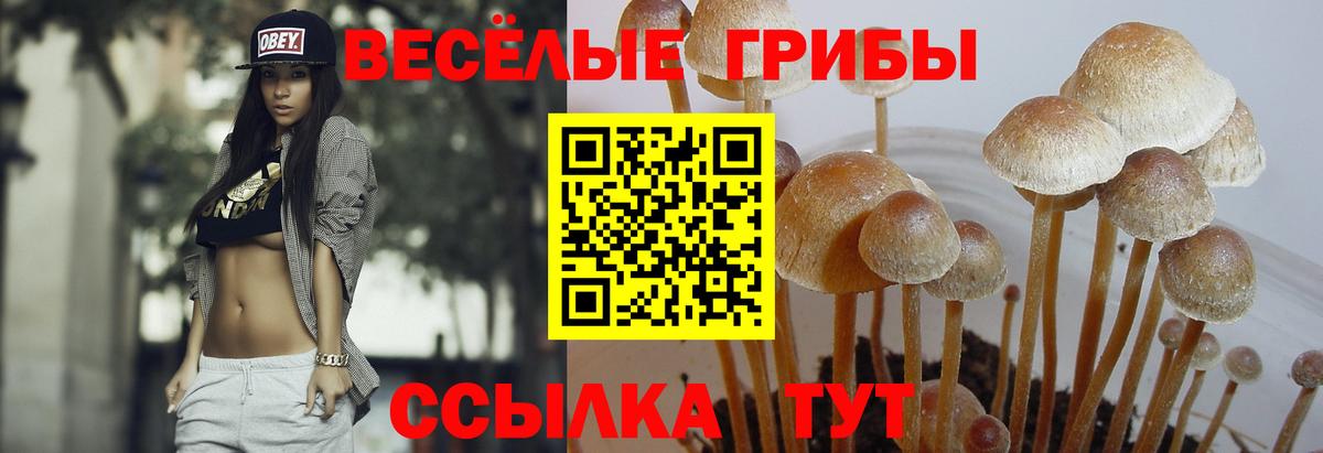 Туапсе  Галлюциногенные грибы ЛСД  Вход с VPN 