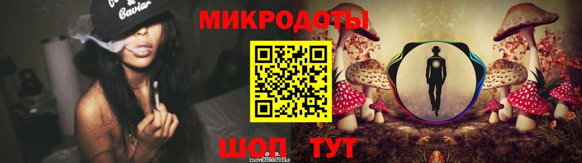 Псилоцибиновые грибы Psilocybine cubensis Туапсе